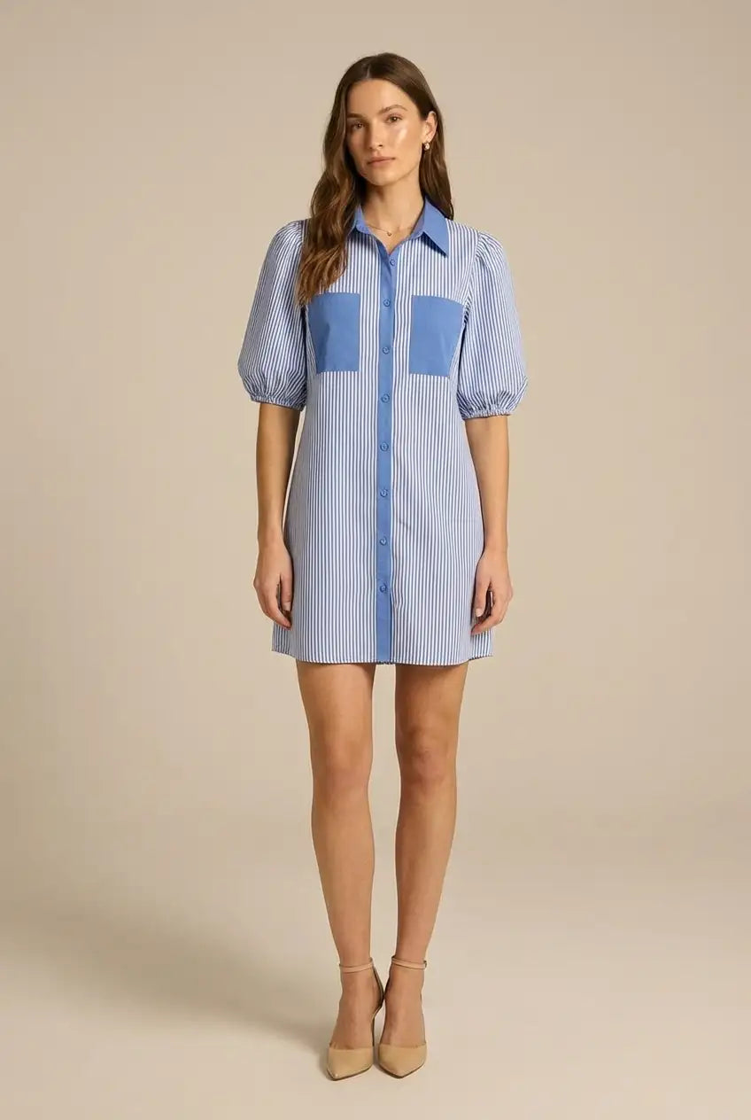 Avoria | Women’s Blue Stripe Mini Shirt Dress with Puff Sleeves