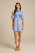 Avoria | Women’s Blue Stripe Mini Shirt Dress with Puff Sleeves
